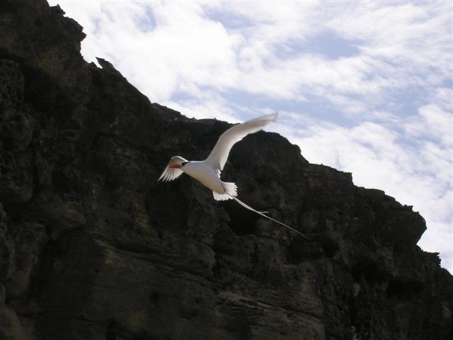 Incontro a Boa Vista
